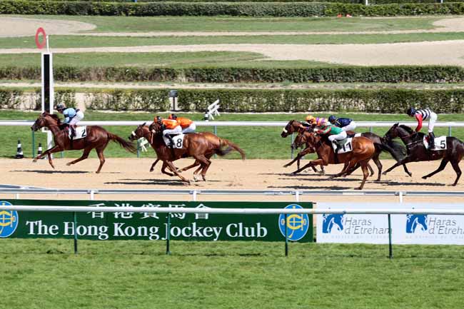 Arrivée quinté pmu PRIX DE CERISY à DEAUVILLE