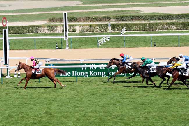 Arrivée quinté pmu PRIX DE POMONE - HARAS D'ETREHAM à DEAUVILLE