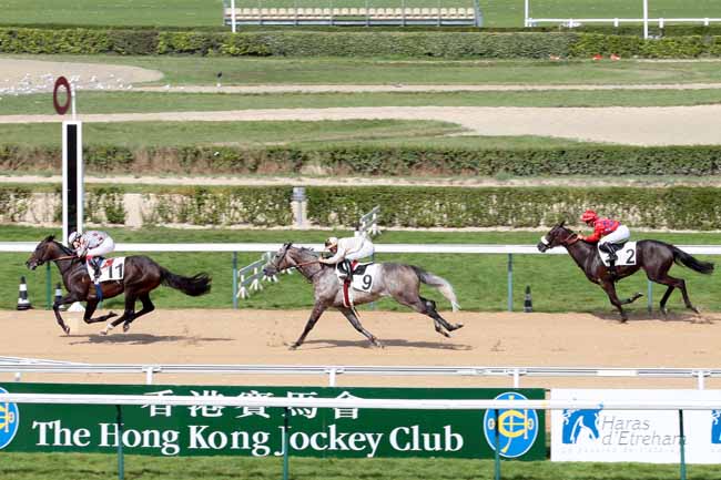 Arrivée quinté pmu PRIX DE MARIVEL à DEAUVILLE