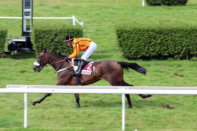 Arrivée quinté pmu PRIX DES FUSAINS à CLAIREFONTAINE