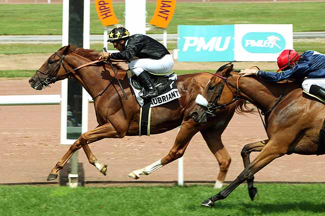 Arrivée quinté pmu GRAND PRIX DE CHATEAUBRIANT à CHATEAUBRIANT