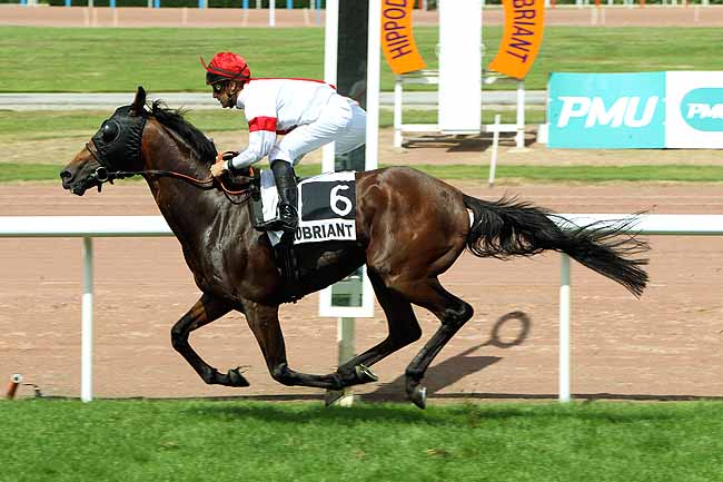 Arrivée quinté pmu PRIX DE SAINT-CLOUD à CHATEAUBRIANT