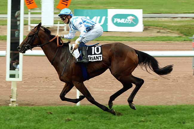 Arrivée quinté pmu PRIX DE LA REGION BRETAGNE à CHATEAUBRIANT