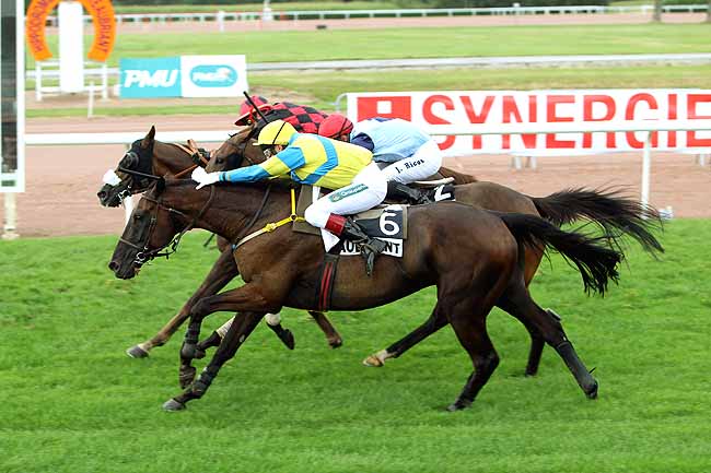 Arrivée quinté pmu PRIX GACKO à CHATEAUBRIANT