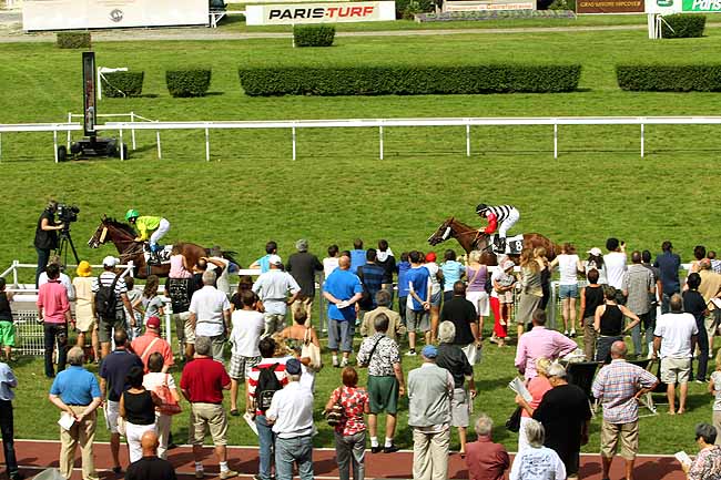 Arrivée quinté pmu PRIX D'ELLON à CLAIREFONTAINE