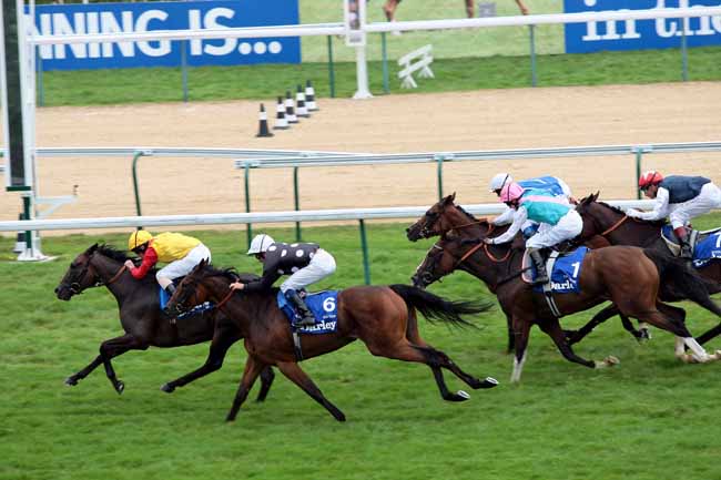 Arrivée quinté pmu DARLEY - PRIX JEAN ROMANET à DEAUVILLE