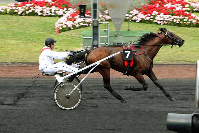Arrivée quinté pmu PRIX JOCKEY à PARIS-VINCENNES