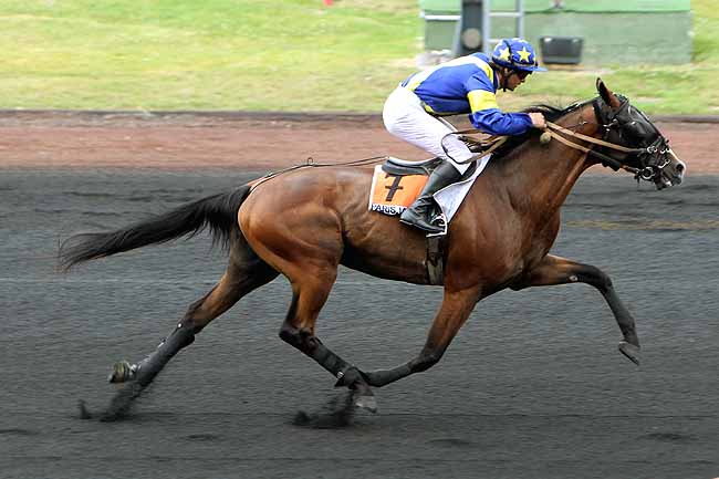 Arrivée quinté pmu PRIX D'EPERNAY à PARIS-VINCENNES