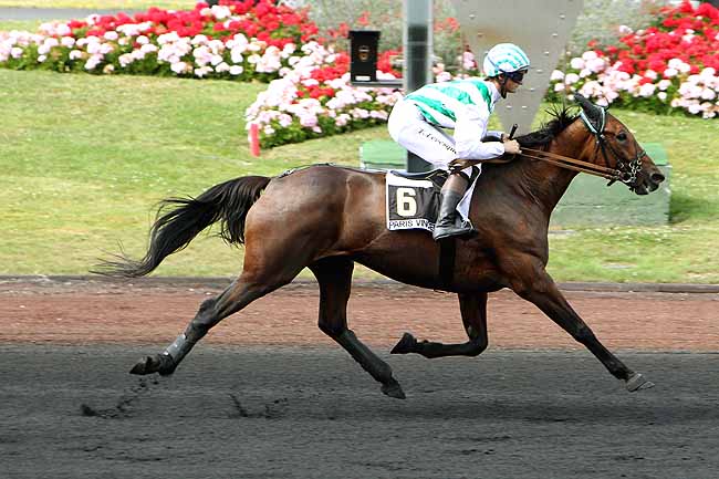 Arrivée quinté pmu PRIX HERVE CERAN-MAILLARD à PARIS-VINCENNES