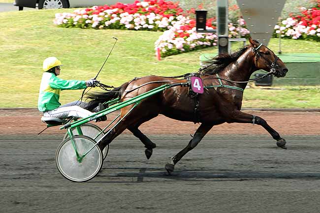 Arrivée quinté pmu PRIX PIERRE PLAZEN à PARIS-VINCENNES