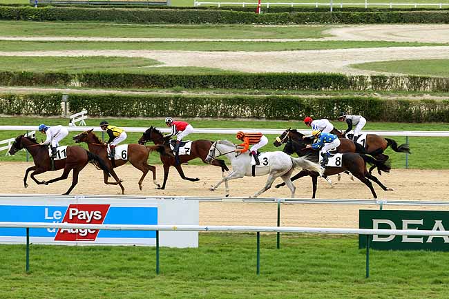 Arrivée quinté pmu PRIX DE DOMFRONT à DEAUVILLE