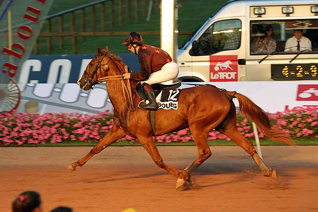 Arrivée quinté pmu PRIX DES GAZANIES à CABOURG