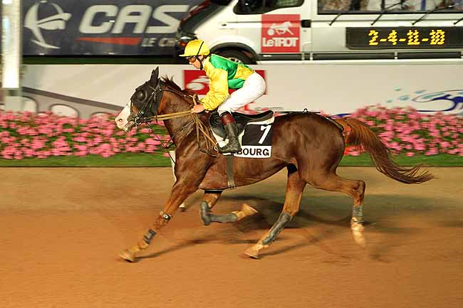 Arrivée quinté pmu PRIX DES OISEAUX DU PARADIS à CABOURG