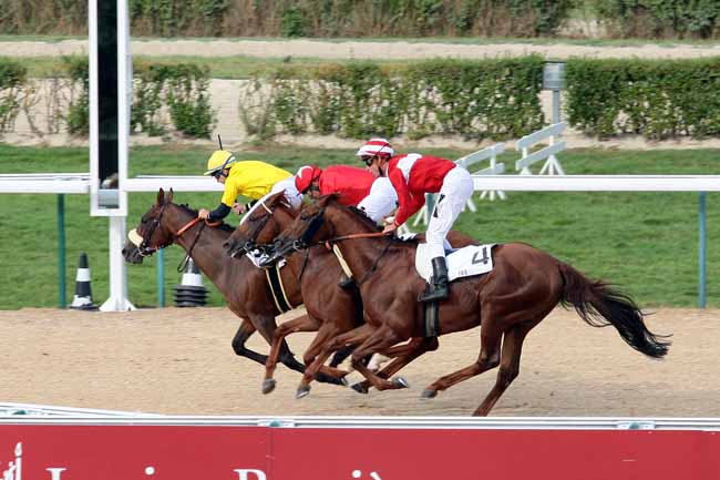 Arrivée quinté pmu PRIX DES ENTRAINEURS LUCIEN BARRIERE à DEAUVILLE