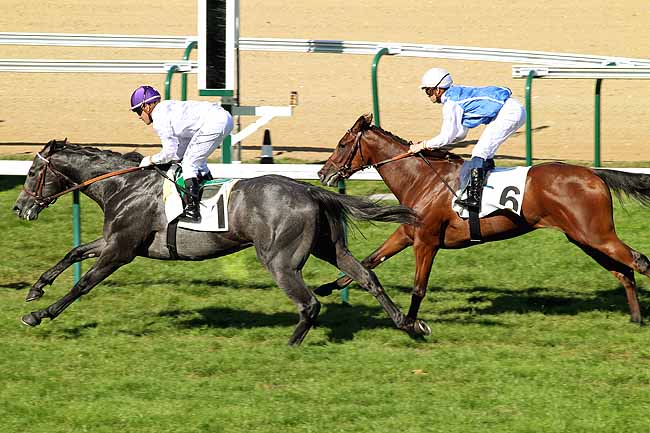 Arrivée quinté pmu PRIX DU LOGIS SAINT-GERMAIN à DEAUVILLE