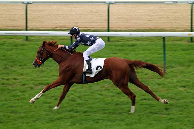 Arrivée quinté pmu PRIX DE SAINT-LAURENT à DEAUVILLE