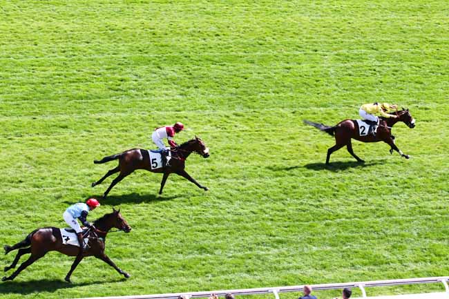Arrivée quinté pmu PRIX GEORGES PELAT à AUTEUIL