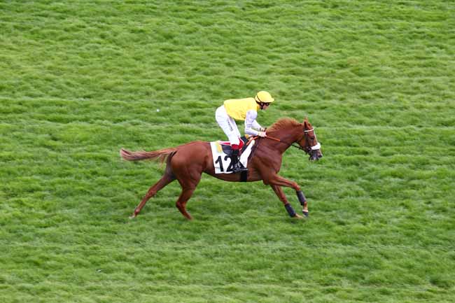 Arrivée quinté pmu PRIX BLAVIETTE à AUTEUIL