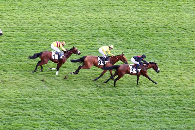 Arrivée quinté pmu PRIX SAIDA à AUTEUIL