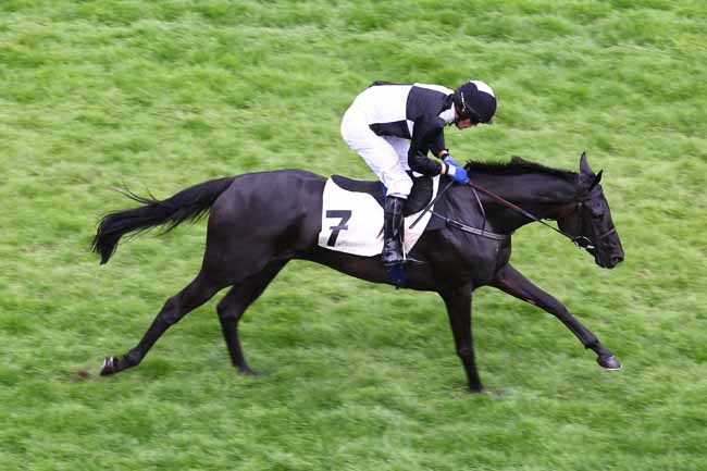 Arrivée quinté pmu PRIX TOURNAY à AUTEUIL