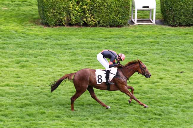 Arrivée quinté pmu PRIX RECRUIT II à AUTEUIL