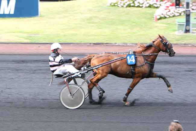 Arrivée quinté pmu PRIX DE SAINT-GALMIER à PARIS-VINCENNES