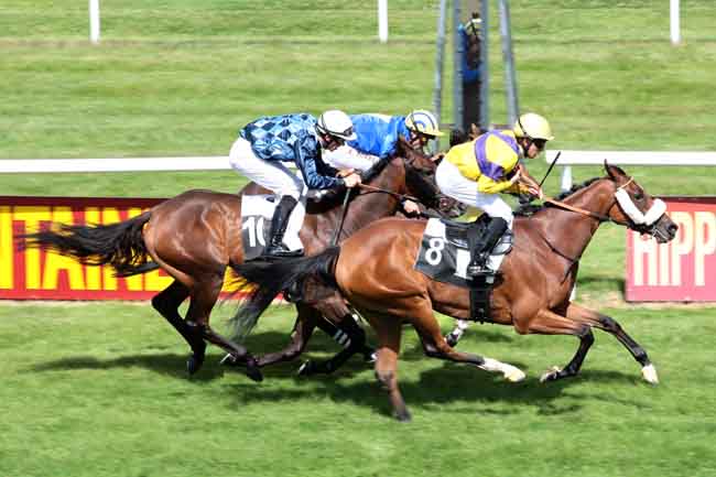 Arrivée quinté pmu PRIX DES ORMES à FONTAINEBLEAU