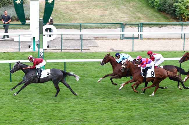 Arrivée quinté pmu PRIX DE LA PROMENADE PLANTEE à LONGCHAMP