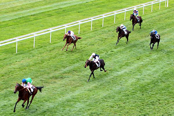Arrivée quinté pmu CRITERIUM DE L'OUEST à CRAON