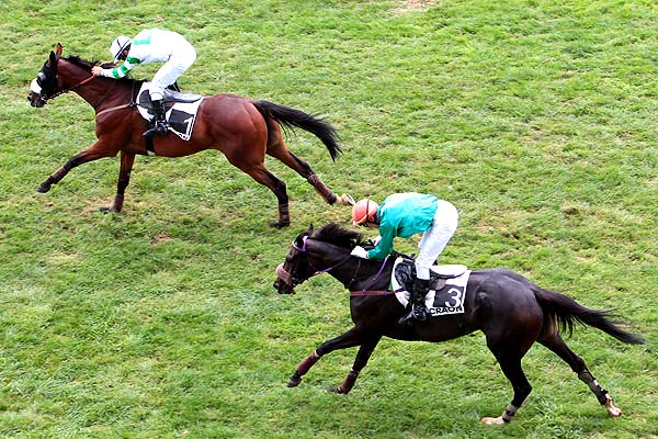 Arrivée quinté pmu PRIX FINEAU à CRAON