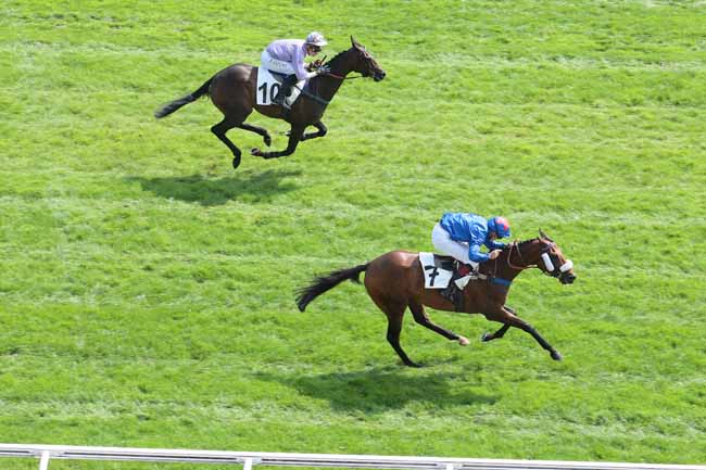 Arrivée quinté pmu PRIX DE GIEN à AUTEUIL