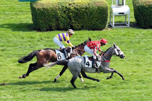 Arrivée quinté pmu PRIX HENRI GLEIZES à AUTEUIL