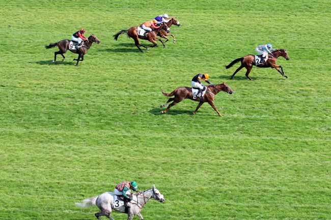 Arrivée quinté pmu PRIX MARLY RIVER à AUTEUIL