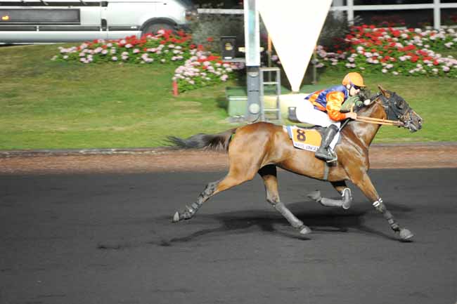 Arrivée quinté pmu PRIX PICTOR à PARIS-VINCENNES