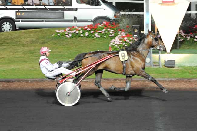 Arrivée quinté pmu PRIX HYDRUS à PARIS-VINCENNES