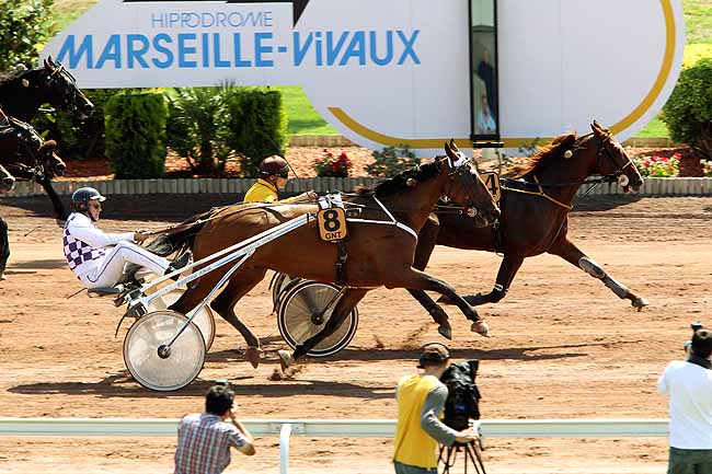Arrivée quinté pmu PRIX GENY.COM - PARIS-TURF à PONT DE VIVAUX