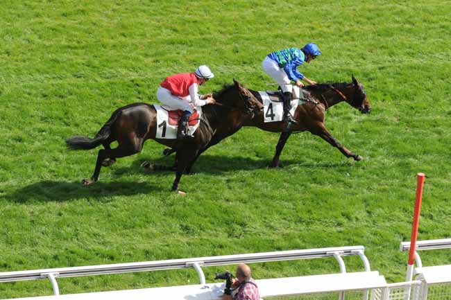 Arrivée quinté pmu PRIX ROYAL JUNIOR à AUTEUIL