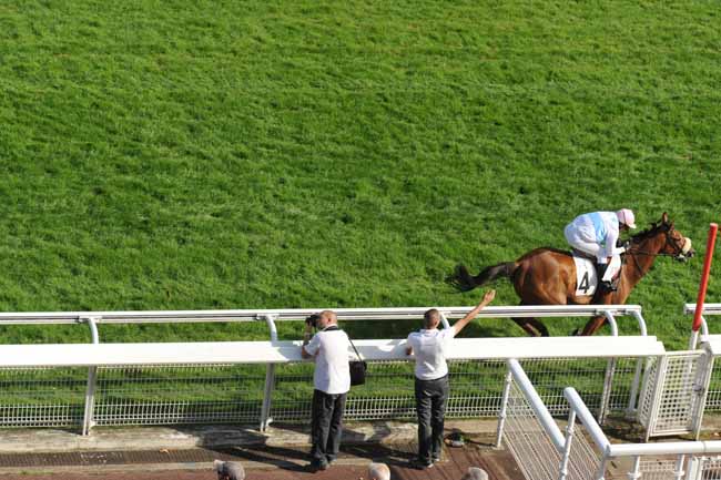 Arrivée quinté pmu PRIX ACHILLE-FOULD à AUTEUIL