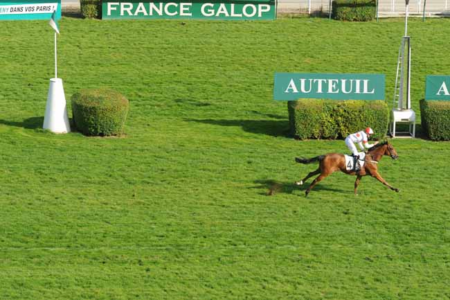 Arrivée quinté pmu PRIX MELI MELO à AUTEUIL
