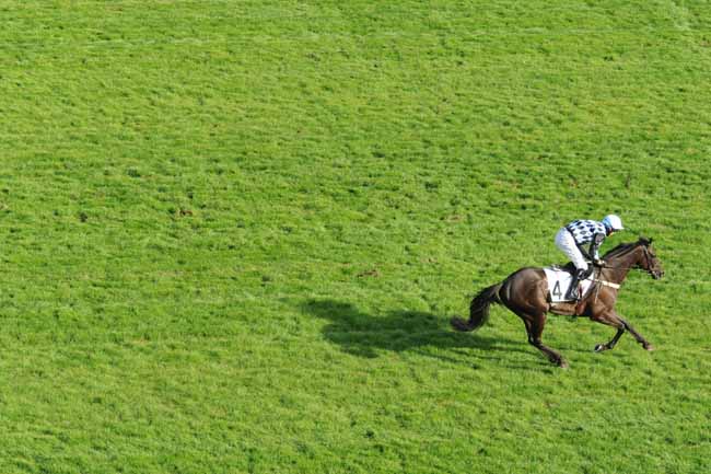 Arrivée quinté pmu PRIX DE L'ORLEANAIS à AUTEUIL