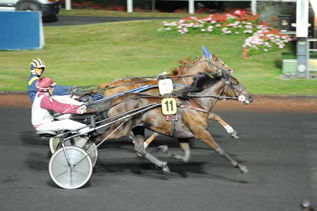 Arrivée quinté pmu PRIX AMBROSIA à PARIS-VINCENNES