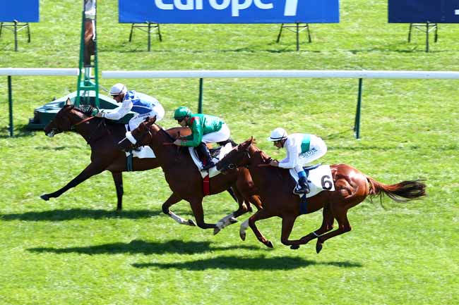 Arrivée quinté pmu PRIX DE LA MASSELIERE à LONGCHAMP