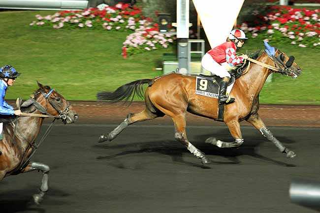 Arrivée quinté pmu PRIX AGRIPPA à PARIS-VINCENNES