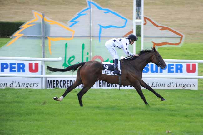 Arrivée quinté pmu HANDICAP DU LION D'ANGERS à LE LION D'ANGERS