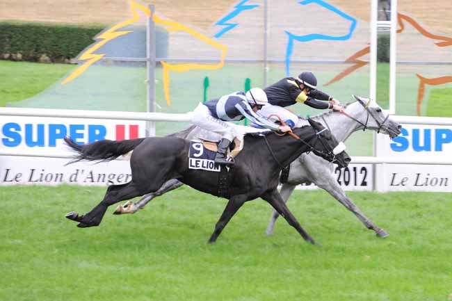 Arrivée quinté pmu PRIX DE LA FEE DU MAS à LE LION D'ANGERS