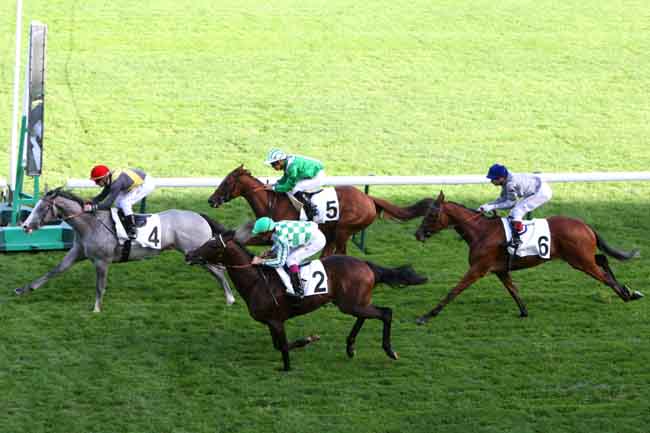 Arrivée quinté pmu PRIX DES MELEZES à LONGCHAMP
