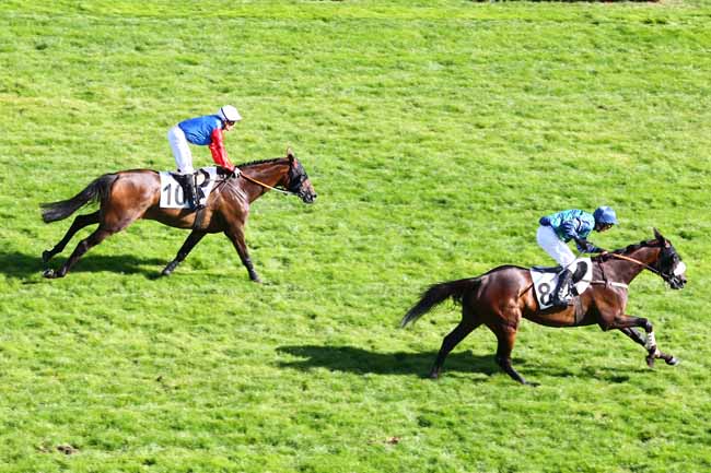 Arrivée quinté pmu PRIX RICHARD ET ROBERT HENNESSY à AUTEUIL