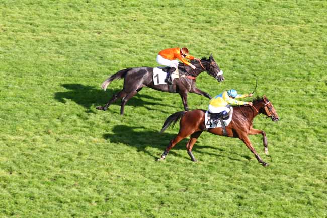 Arrivée quinté pmu PRIX DE LA SAVOIE à AUTEUIL