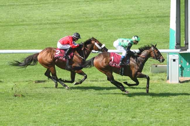 Arrivée quinté pmu QATAR CUP - PRIX DRAGON à LONGCHAMP