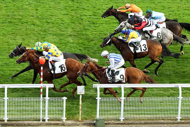 Arrivée quinté pmu PRIX DE LA PRAIRIE DU PARC à MAISONS-LAFFITTE